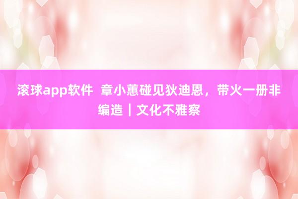 滚球app软件  章小蕙碰见狄迪恩，带火一册非编造｜文化不雅察
