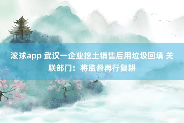 滚球app 武汉一企业挖土销售后用垃圾回填 关联部门：将监督再行复耕