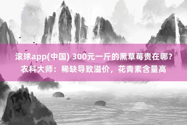 滚球app(中国) 300元一斤的黑草莓贵在哪？农科大师：稀缺导致溢价，花青素含量高