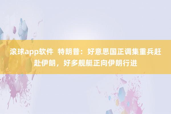 滚球app软件  特朗普：好意思国正调集重兵赶赴伊朗，好多舰艇正向伊朗行进
