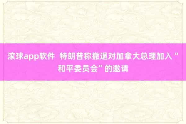 滚球app软件  特朗普称撤退对加拿大总理加入“和平委员会”的邀请