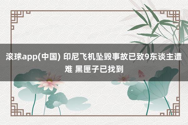 滚球app(中国) 印尼飞机坠毁事故已致9东谈主遭难 黑匣子已找到
