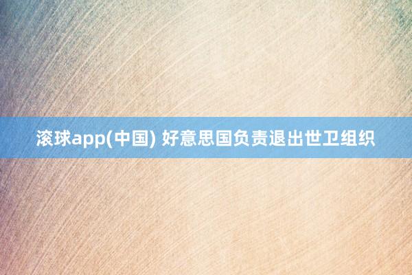 滚球app(中国) 好意思国负责退出世卫组织