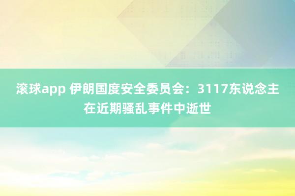 滚球app 伊朗国度安全委员会：3117东说念主在近期骚乱事件中逝世