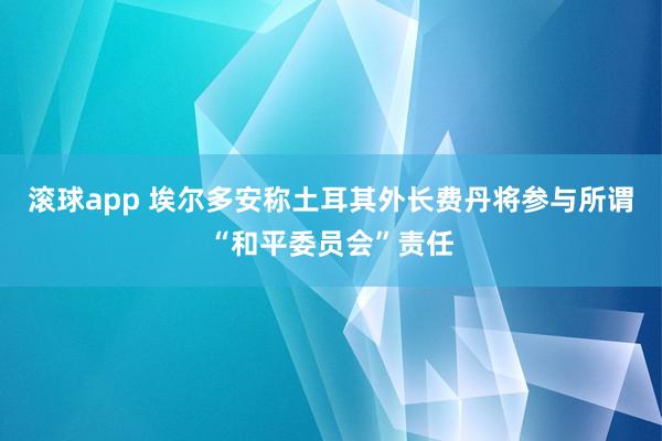 滚球app 埃尔多安称土耳其外长费丹将参与所谓“和平委员会”责任