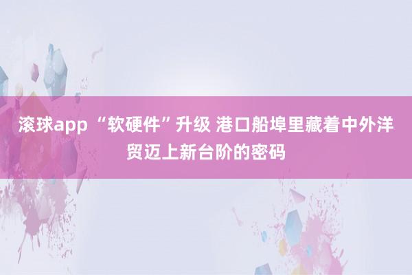 滚球app “软硬件”升级 港口船埠里藏着中外洋贸迈上新台阶的密码