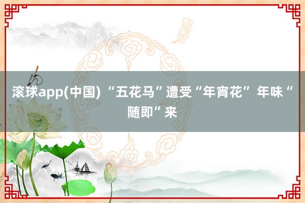 滚球app(中国) “五花马”遭受“年宵花” 年味“随即”来