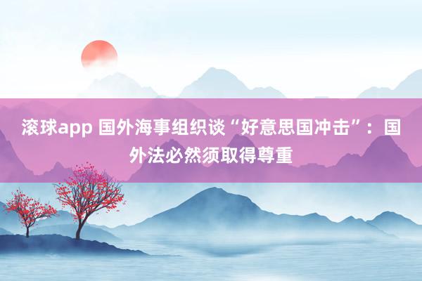 滚球app 国外海事组织谈“好意思国冲击”：国外法必然须取得尊重
