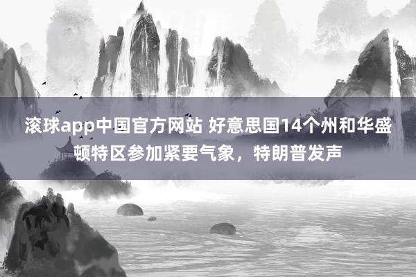 滚球app中国官方网站 好意思国14个州和华盛顿特区参加紧要气象，特朗普发声