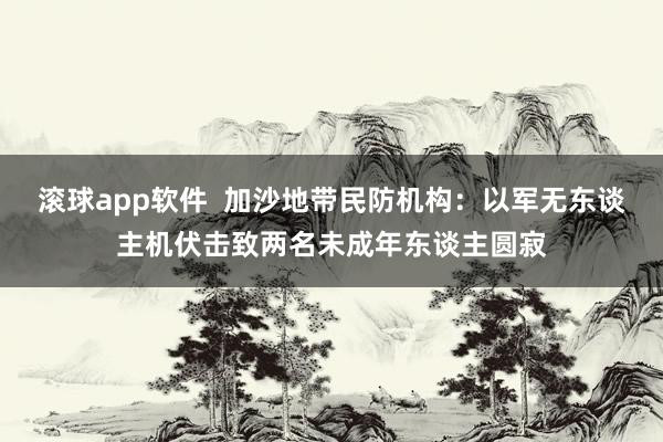 滚球app软件  加沙地带民防机构：以军无东谈主机伏击致两名未成年东谈主圆寂