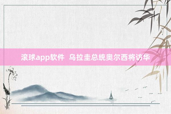 滚球app软件  乌拉圭总统奥尔西将访华