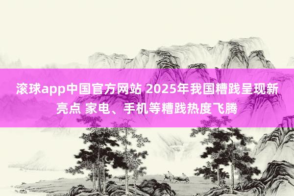 滚球app中国官方网站 2025年我国糟践呈现新亮点 家电、手机等糟践热度飞腾