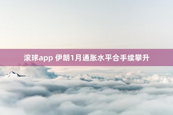 滚球app 伊朗1月通胀水平合手续攀升