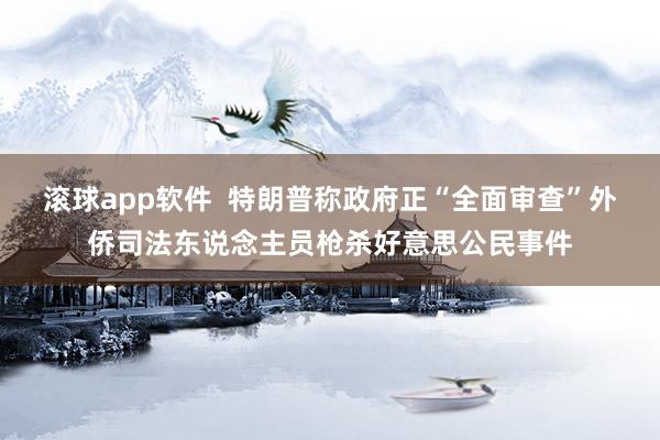 滚球app软件  特朗普称政府正“全面审查”外侨司法东说念主员枪杀好意思公民事件