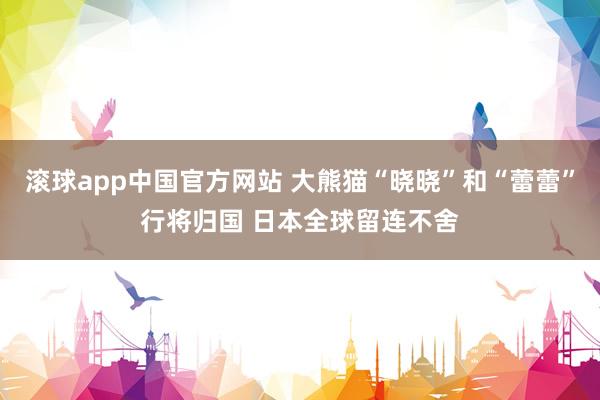 滚球app中国官方网站 大熊猫“晓晓”和“蕾蕾”行将归国 日本全球留连不舍
