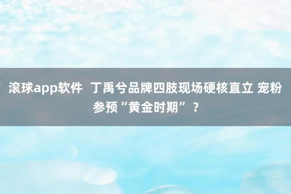 滚球app软件  丁禹兮品牌四肢现场硬核直立 宠粉参预“黄金时期” ？