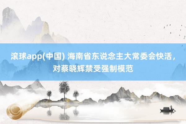 滚球app(中国) 海南省东说念主大常委会快活，对蔡晓辉禁受强制模范