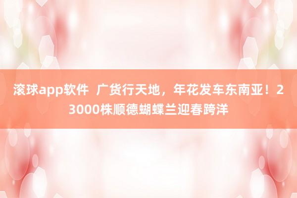 滚球app软件  广货行天地，年花发车东南亚！23000株顺德蝴蝶兰迎春跨洋