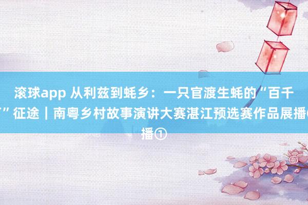 滚球app 从利兹到蚝乡：一只官渡生蚝的“百千万”征途｜南粤乡村故事演讲大赛湛江预选赛作品展播①
