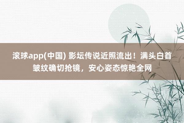 滚球app(中国) 影坛传说近照流出！满头白首皱纹确切抢镜，安心姿态惊艳全网