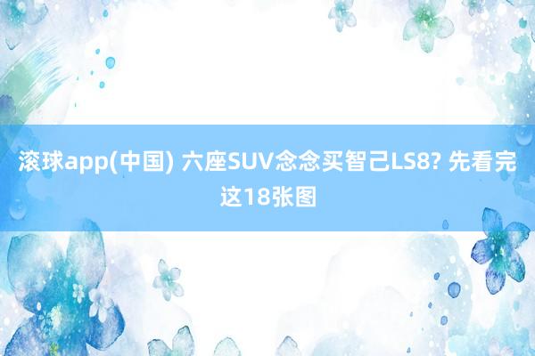 滚球app(中国) 六座SUV念念买智己LS8? 先看完这18张图