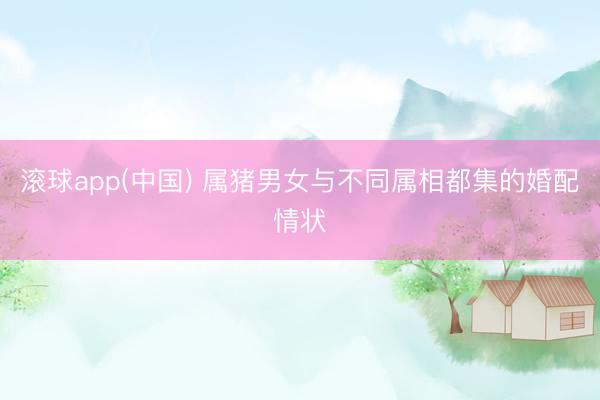 滚球app(中国) 属猪男女与不同属相都集的婚配情状