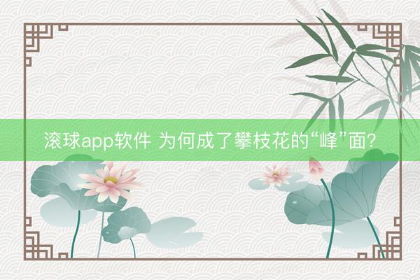 滚球app软件 为何成了攀枝花的“峰”面？