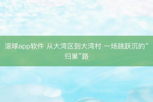滚球app软件 从大湾区到大湾村 一场跳跃沉的“归巢”路