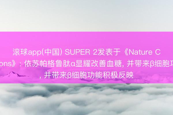 滚球app(中国) SUPER 2发表于《Nature Communications》: 依苏帕格鲁肽α显耀改善血糖， 并带来β细胞功能积极反映