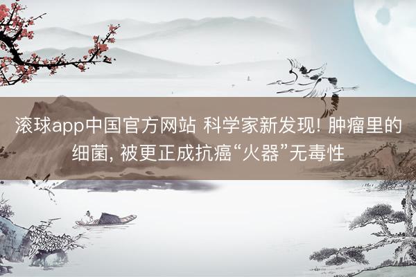 滚球app中国官方网站 科学家新发现! 肿瘤里的细菌， 被更正成抗癌“火器”无毒性
