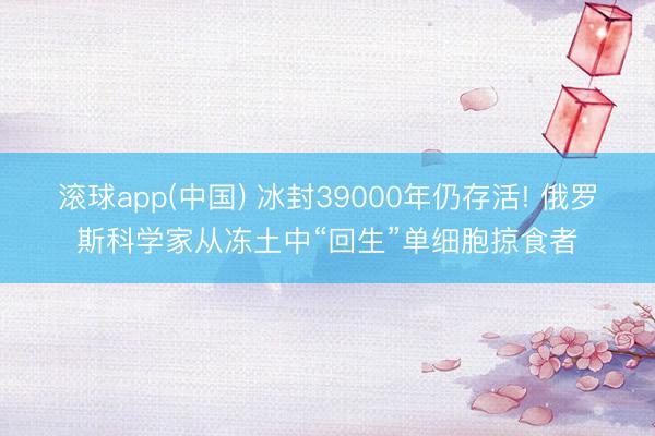 滚球app(中国) 冰封39000年仍存活! 俄罗斯科学家从冻土中“回生”单细胞掠食者