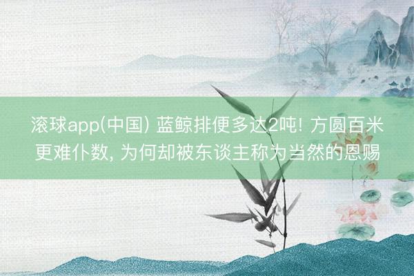 滚球app(中国) 蓝鲸排便多达2吨! 方圆百米更难仆数， 为何却被东谈主称为当然的恩赐