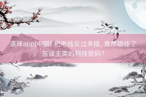 滚球app(中国) 把电线反过来接， 竟然锁住了东谈主类的科技密码?