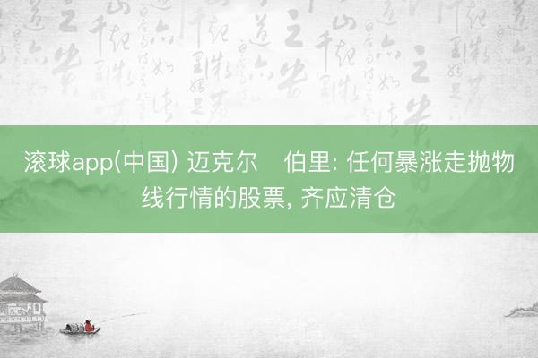 滚球app(中国) 迈克尔・伯里: 任何暴涨走抛物线行情的股票， 齐应清仓
