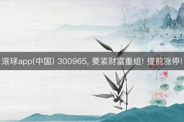 滚球app(中国) 300965， 要紧财富重组! 提前涨停!