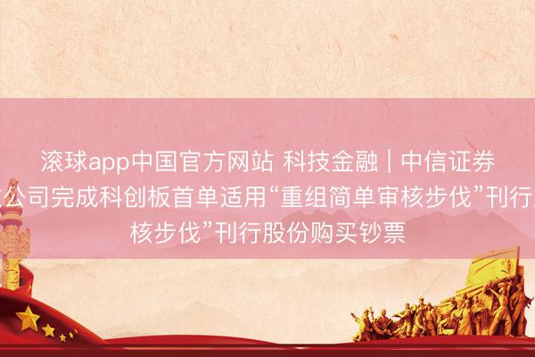 滚球app中国官方网站 科技金融 | 中信证券独家助力中微公司完成科创板首单适用“重组简单审核步伐”刊行股份购买钞票