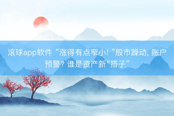 滚球app软件 “涨得有点窄小! ”股市躁动， 账户预警? 谁是资产新“搭子”