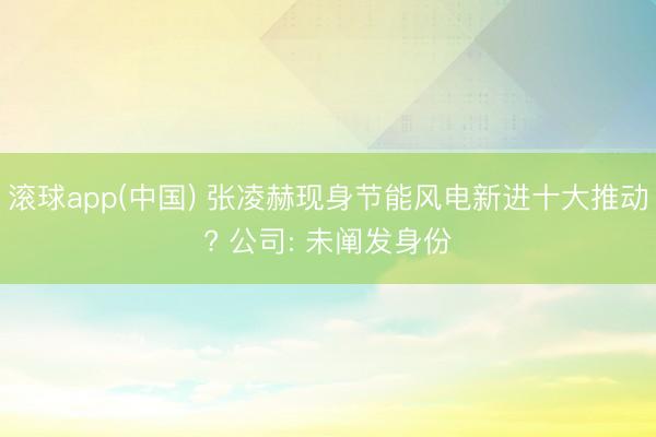 滚球app(中国) 张凌赫现身节能风电新进十大推动? 公司: 未阐发身份