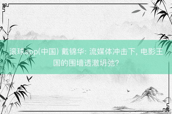 滚球app(中国) 戴锦华: 流媒体冲击下， 电影王国的围墙透澈坍弛?