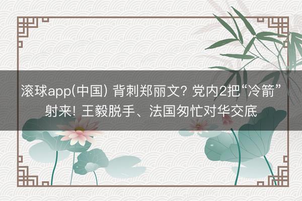 滚球app(中国) 背刺郑丽文? 党内2把“冷箭”射来! 王毅脱手、法国匆忙对华交底