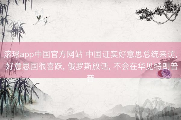滚球app中国官方网站 中国证实好意思总统来访， 好意思国很喜跃， 俄罗斯放话， 不会在华见特朗普