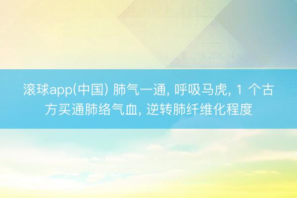 滚球app(中国) 肺气一通， 呼吸马虎， 1 个古方买通肺络气血， 逆转肺纤维化程度