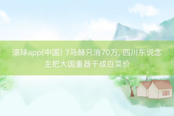 滚球app(中国) 7马赫只消70万， 四川东说念主把大国重器干成白菜价