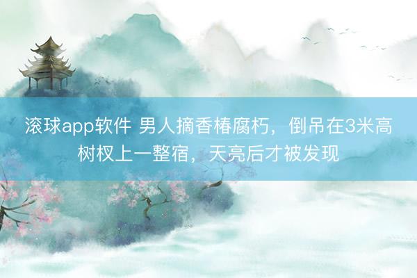 滚球app软件 男人摘香椿腐朽，倒吊在3米高树杈上一整宿，天亮后才被发现