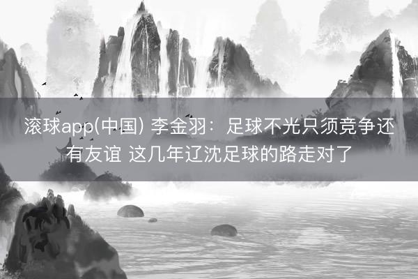 滚球app(中国) 李金羽：足球不光只须竞争还有友谊 这几年辽沈足球的路走对了