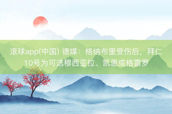 滚球app(中国) 德媒：格纳布里受伤后，拜仁10号为可选穆西亚拉、凯恩或格雷罗