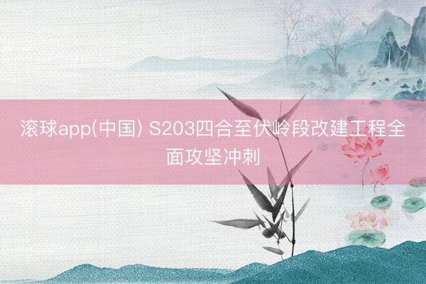 滚球app(中国) S203四合至伏岭段改建工程全面攻坚冲刺