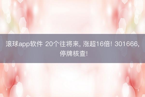 滚球app软件 20个往将来， 涨超16倍! 301666， 停牌核查!