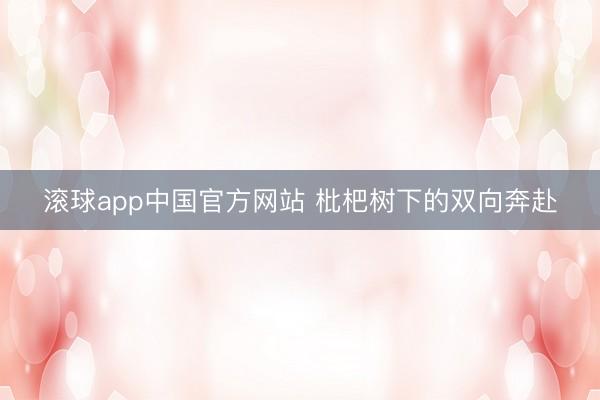滚球app中国官方网站 枇杷树下的双向奔赴