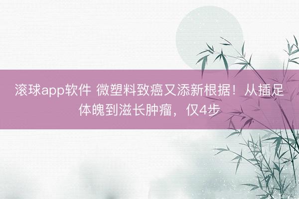滚球app软件 微塑料致癌又添新根据！从插足体魄到滋长肿瘤，仅4步